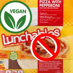 A picture of Vegan Lunchable Pizza (Adults).