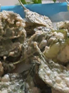Foto resep Kripik bayam