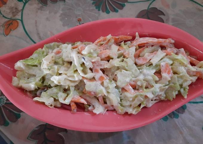 So Tasty Mexico Food Coleslaw salad