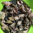 Oseng cumi kuah hitam