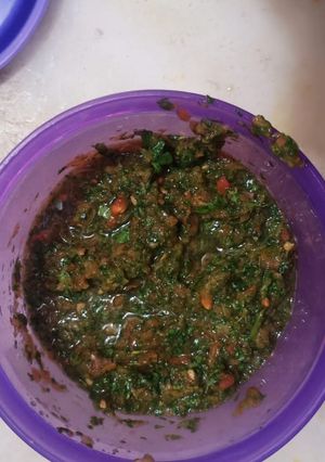 A picture of Mint sweet chutney.