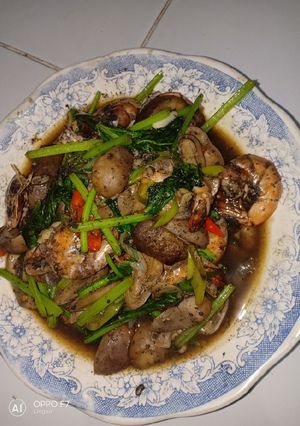 Foto resep Udang cumi jamur sawi hitam