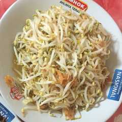 Tumis Tauge ebi রেসিপির প্রধান ছবি
