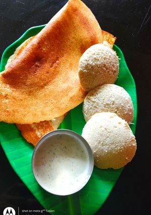 A picture of Foxtail Millet Idli/Dosa.