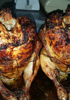Una foto de Pollo sentado