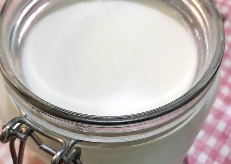 youghurt-homemade-plain