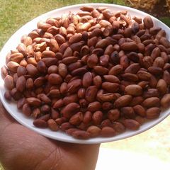 A picture of Roasted groundnuts.