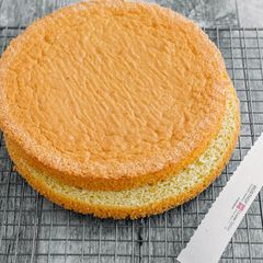 A picture of Sponge Cake.