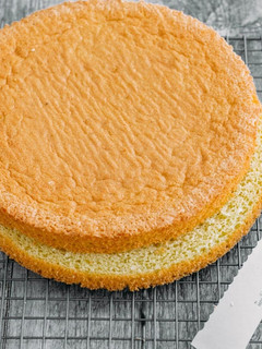A picture of Sponge Cake.