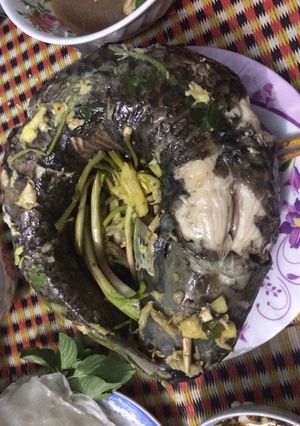 Hình của món Cá trắm hấp gừng.