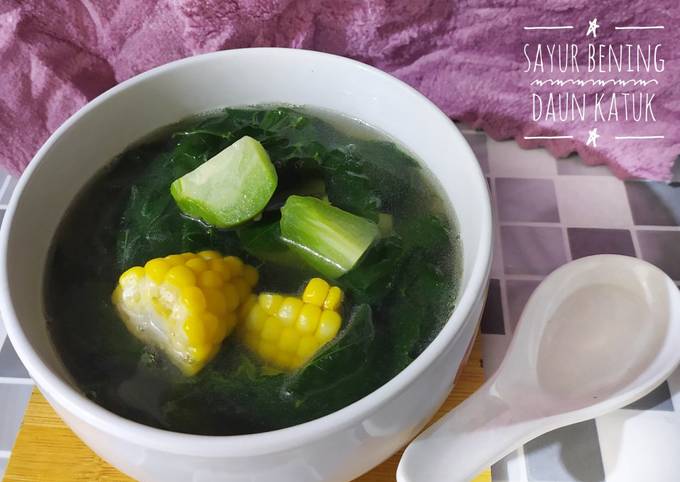 Resep Sayur Bening Daun Katuk Oleh Lailazegaff Cookpad