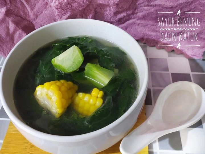 Langkah Mudah untuk Menyiapkan Resep  Sayur Bening Daun Katuk yang Enak Banget, Enak