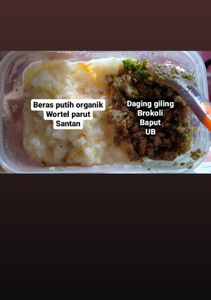 Foto resep MPASI 8 bulan Bubur lemak tumis daging
