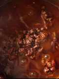 Bolognesa