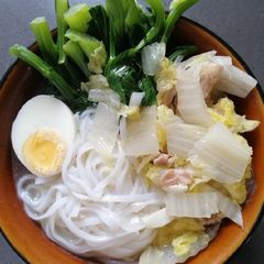 A picture of Rice Noodle.