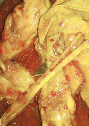 Foto resep Ayam rica rica