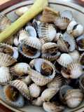 Kerang dara rebus (anti amis² club)