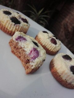 Una foto de Mini tartas o bocaditos de ricota y arándanos saludable!