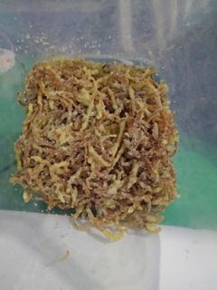 Foto resep Abon Pepaya