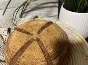 A picture of sourdough starter