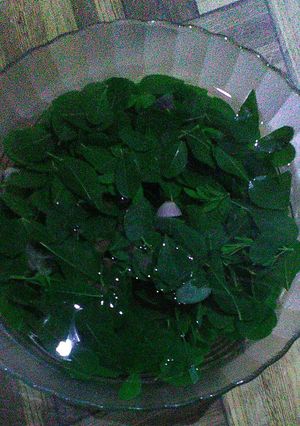 Foto resep Sayur Bening Kelor