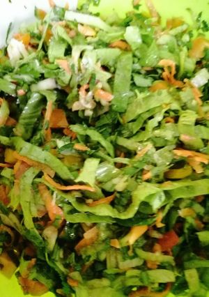 A picture of Lebanese Fattoush.