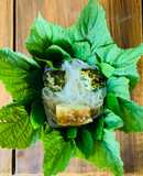 Bún đậu mắm tôm Halloween với chả đậu hũ, lưỡi heo, và lòng non