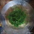 Sayur kelor simple