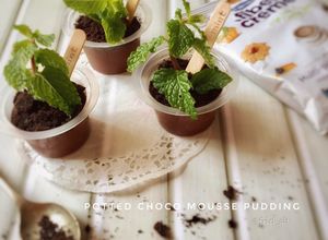 Foto resep Choco mousse pudding