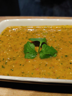 A picture of Salsa.