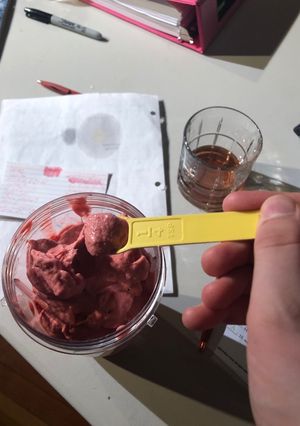 A picture of The best ever Ultimate sorbet.