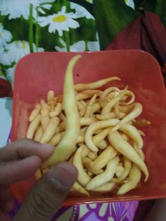 Foto resep Telur gabus keju
