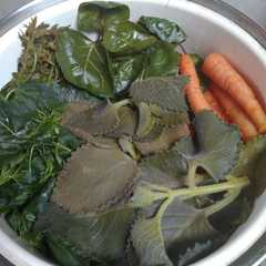 A picture of Seupan lalap.