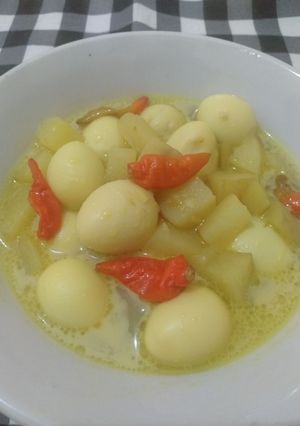 Foto resep Telur puyuh kentang bumbu kuning