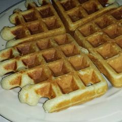 A picture of Waffles.