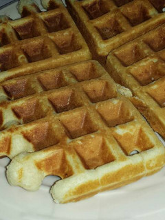A picture of Waffles.