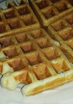 A picture of Waffles.