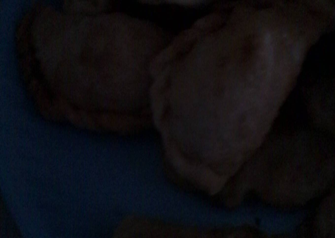 Pastel isi istimewa