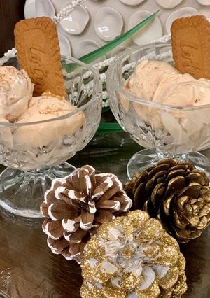 A picture of Lotus biscoff ice cream🍨😋.