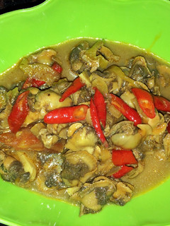 Foto resep Tumis kerang dara