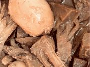 Gambar gudeg nangka