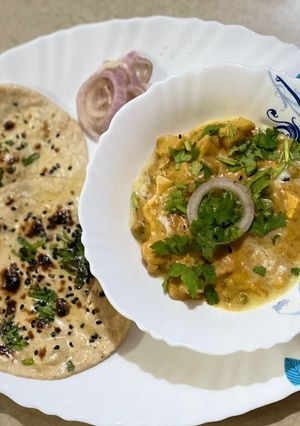 A picture of Navratna Korma.