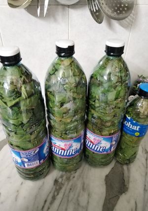 صورة لوصفة تفريز ورق العنب
