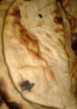 A picture of Naan oven baked.
