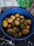 Pommes de terre grenailles rapide au micro ondes
