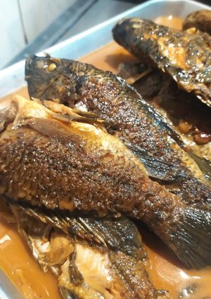 糖醋紅燒魚 的食譜成品照片