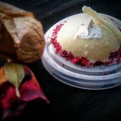 A picture of Thandai panna cotta fusion style.
