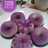 568.Puding Semburat Mini (Anggur - Leci)