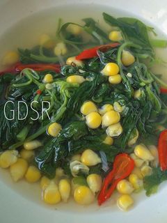 Foto resep Bayam Sayur Bening