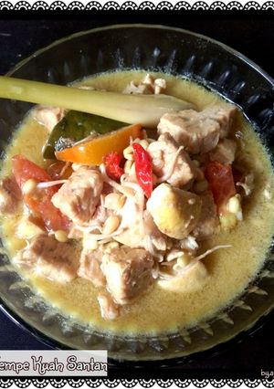 Foto resep Tahu Tempe Kuah Santan